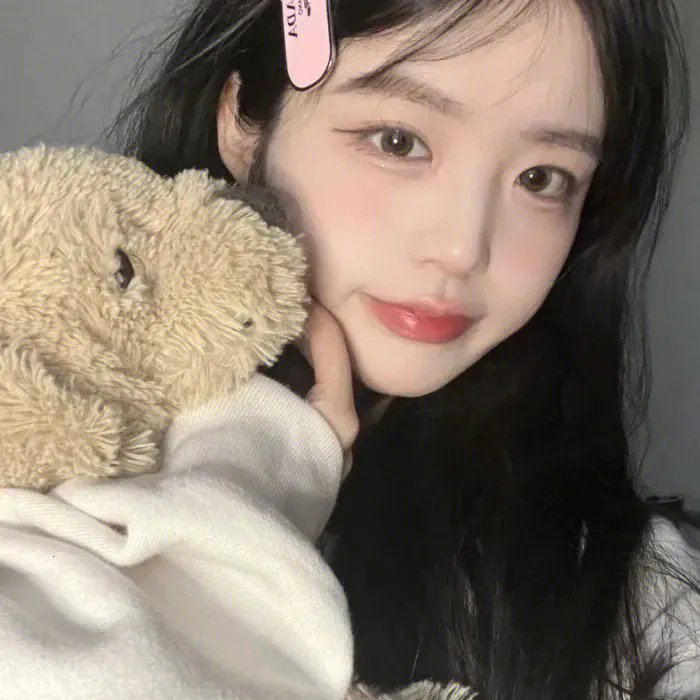 孤鸟罗宾